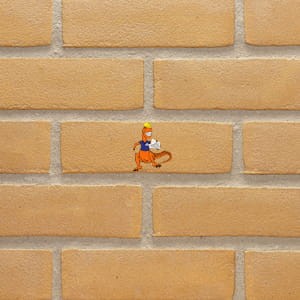 PŁYTKA RĘCZNIE FORMOWANA DF VORMBAK MIRATO – GEEL ZILVERZAND 210x25/30x65 MM