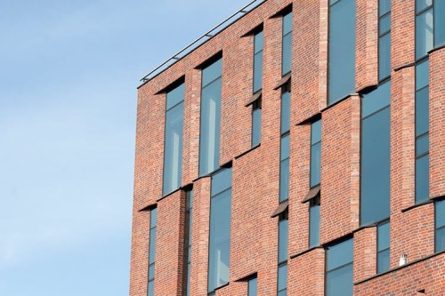 cegla-klinkierowa-maszynowa-patoka-classic-lode-realizacja