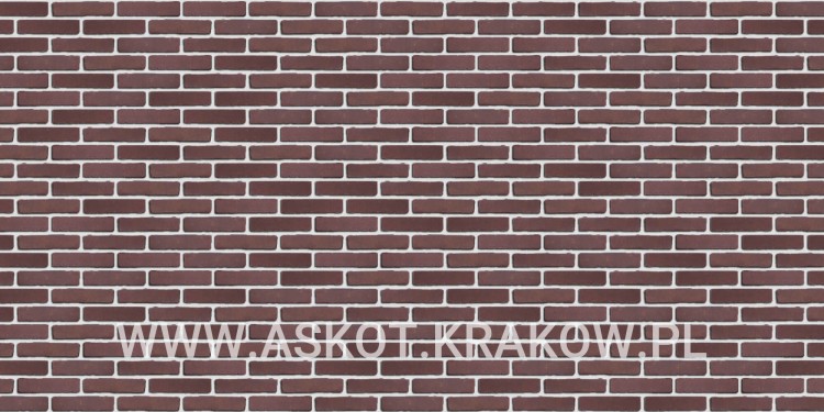 plytka-klinkier-pattern-biala-fuga-aubergine-engels.jpg