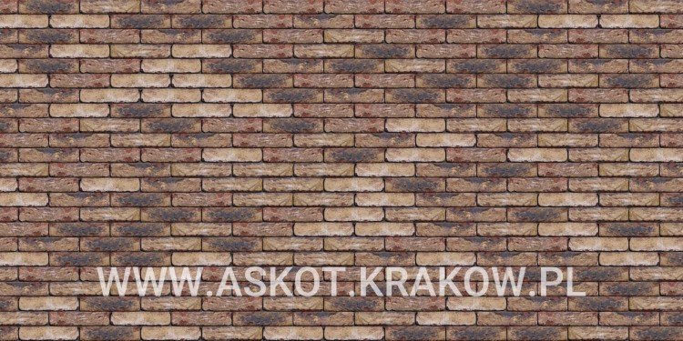 plytka-klinkier-pattern-bez-fugi-hermitage-antiek-engels.jpg
