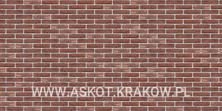 plytka-recznie-formowana-ok-engels-realizacja1