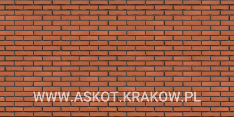 plytka-recznie-formowana-oranjerood-engels-realizacja3