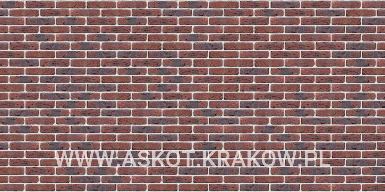 plytka-recznie-formowana-pompeii-antiek-z-rowkiem-engels-realizacja2