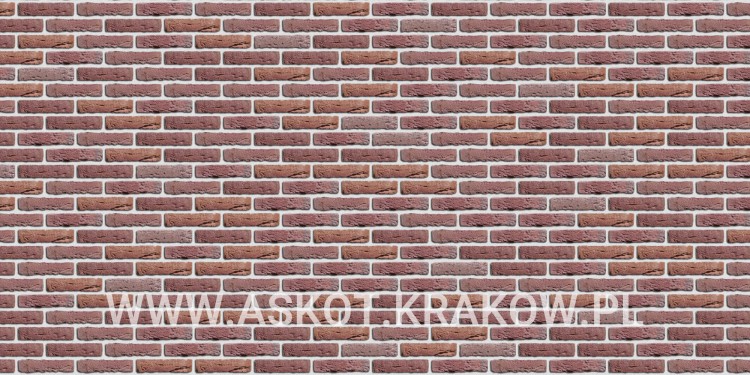 plytka-recznie-formowana-donkerrood-gereduceerd-engels-realizacja7