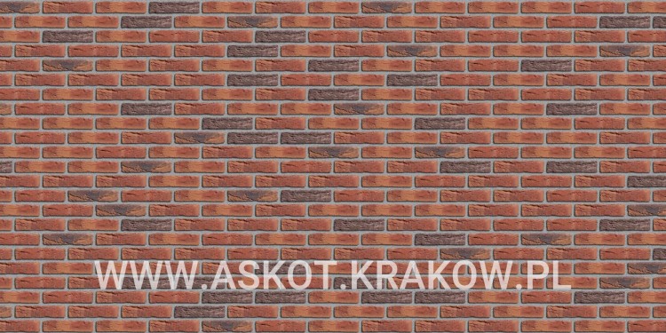 plytka-recznie-formowana-engels-exclusief-engels-realizacja2