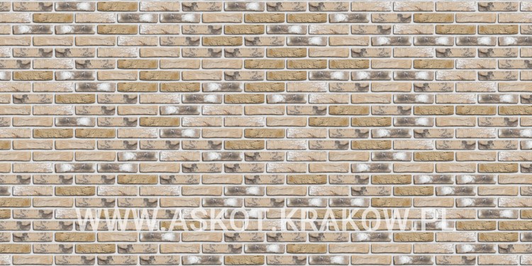 plytka-katowa-recznie-formowana-old-dutch-multi-engels-realizacja1