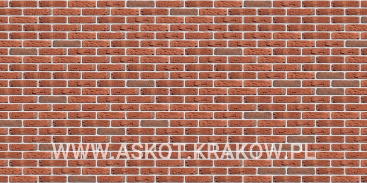 plytka-recznie-formowana-oranje-genuanceerd-engels-realizacja8