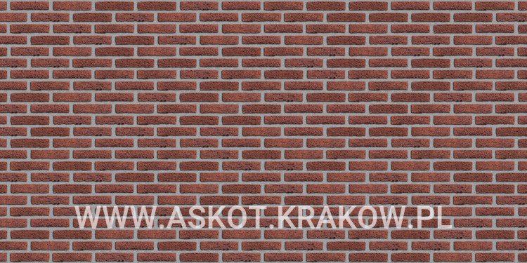 plytka-recznie-formowana-rood-bezaagseld-engels-realizacja2