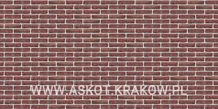 plytka-recznie-formowana-rood-bezaagseld-gereduceerd-engels-realizacja4
