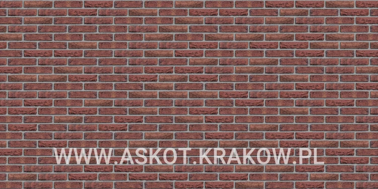 plytka-recznie-formowana-rood-bezaagseld-gereduceerd-engels-realizacja5