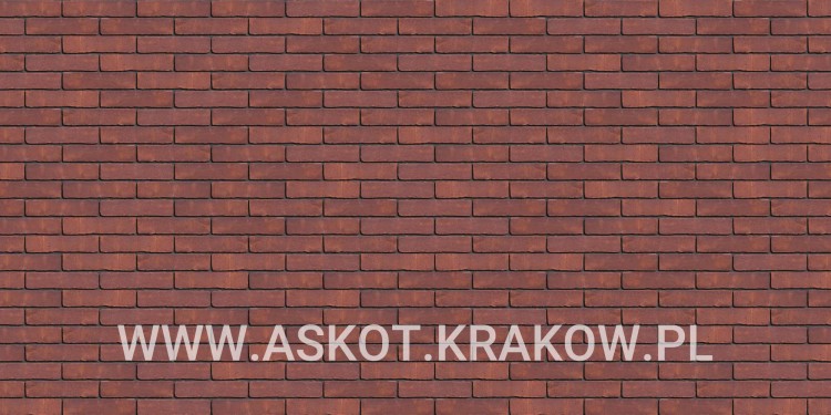 plytka-recznie-formowana-royal-rosso-engels-realizacja
