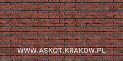 plytka-katowa-recznie-formowana-rood-bezaagseld-engels-realizacja