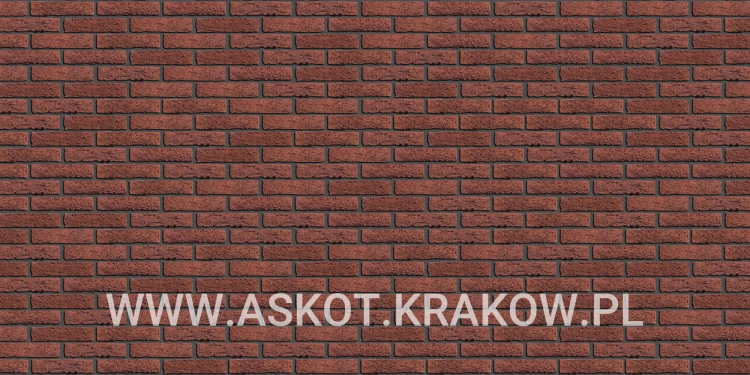 plytka-katowa-recznie-formowana-rood-bezaagseld-engels-realizacja