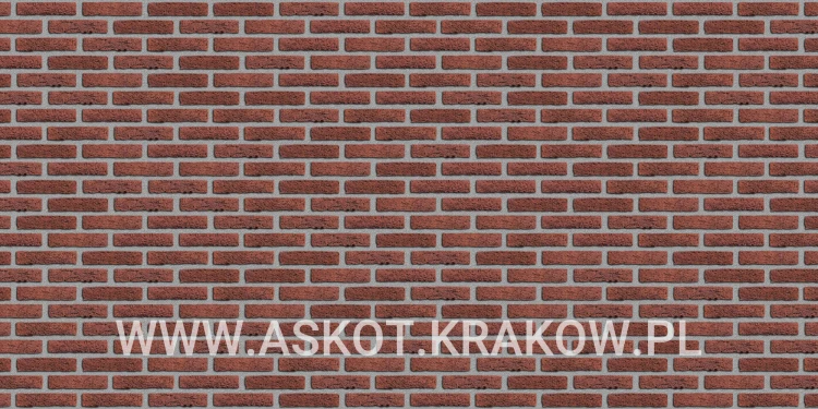 plytka-katowa-recznie-formowana-rood-bezaagseld-engels-realizacja2