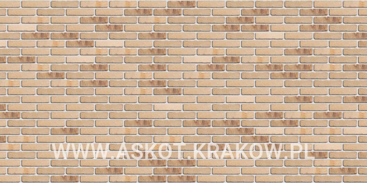 plytka-recznie-formowana-thar-engels-realizacja1