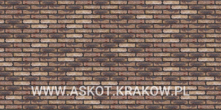 plytka-klinkier-pattern-czarna-fuga-hermitage-antiek-engels.jpg