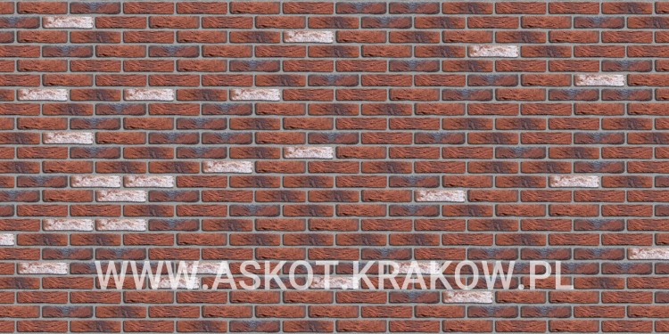 plytka-katowa-recznie-formowana-hoevesteen-engels-realizacja3