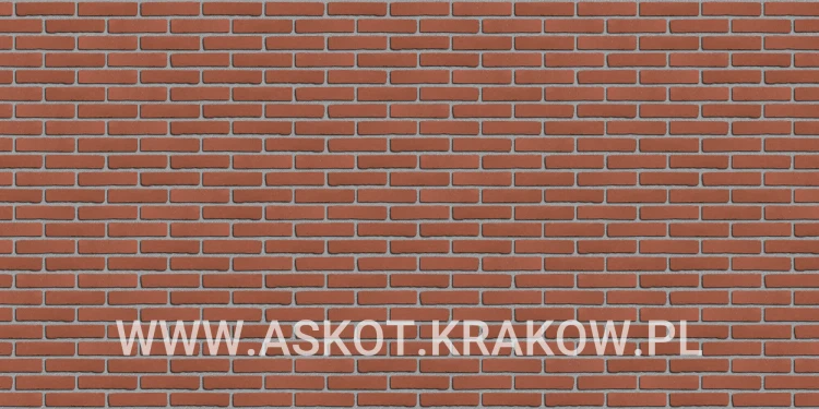 plytka-klinkier-pattern-szara-fuga-warmrood-engels.jpg