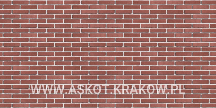 plytka-katowa-recznie-formowana-natuurrood-engels-realizacja1