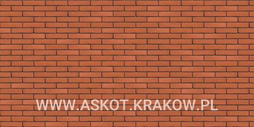 plytka-katowa-recznie-formowana-oranjerood-engels-realizacja