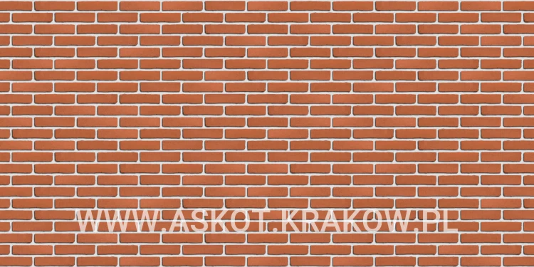 plytka-katowa-recznie-formowana-oranjerood-engels-realizacja1