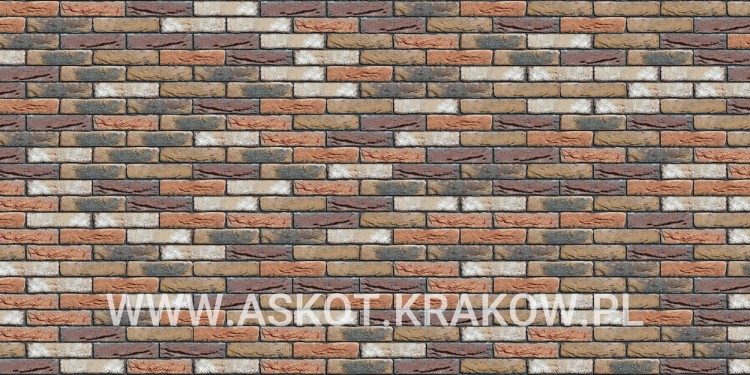 plytka-recznie-formowana-kempen-antiek-engels-realizacja