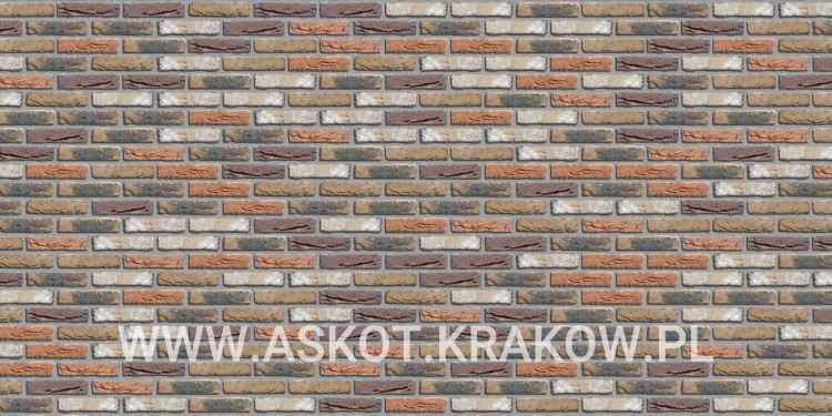 plytka-recznie-formowana-kempen-antiek-engels-realizacja3