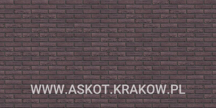 plytka-katowa-recznie-formowana-aubergine-engels-realizacja7