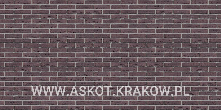 plytka-katowa-recznie-formowana-aubergine-engels-realizacja6
