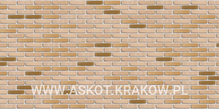 plytka-katowa-recznie-formowana-kalahari-engels-realizacja4
