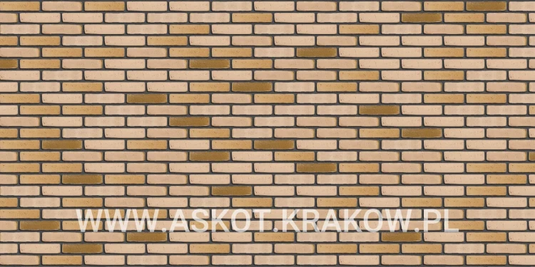 plytka-katowa-recznie-formowana-kalahari-engels-realizacja6