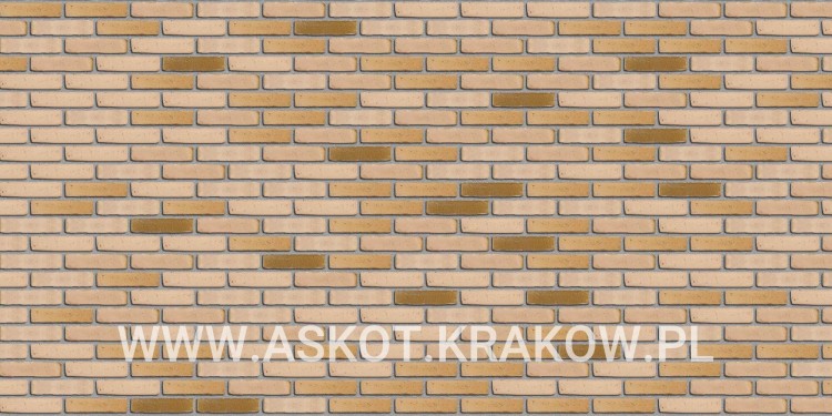 plytka-katowa-recznie-formowana-kalahari-engels-realizacja5