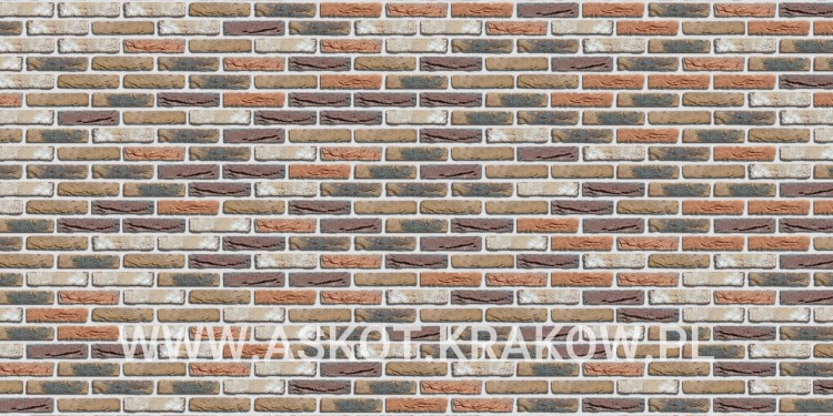 plytka-katowa-recznie-formowana-kempen-antiek-engels-realizacja1