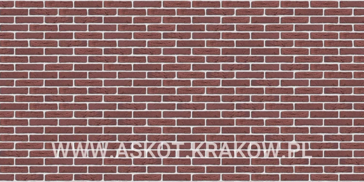 plytka-katowa-recznie-formowana-klassiek-rood-engels-realizacja6