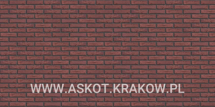 plytka-katowa-recznie-formowana-klassiek-rood-engels-realizacja8