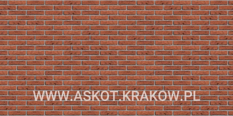 plytka-katowa-recznie-formowana-provinciaals-oranje-engels-realizacja7