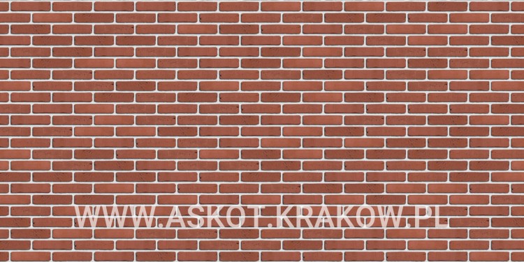 plytka-katowa-recznie-formowana-rhodoniet-engels-realizacja3