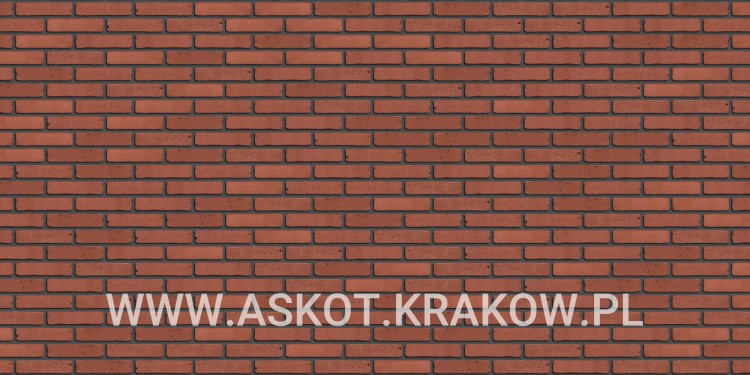 plytka-katowa-recznie-formowana-rhodoniet-engels-realizacja5
