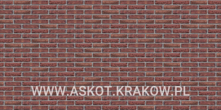 plytka-katowa-recznie-formowana-rood-bezaagseld-gereduceerd-engels-realizacja6