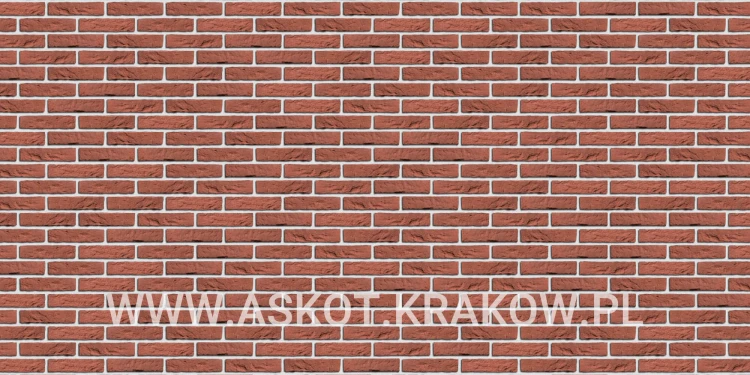 plytka-katowa-recznie-formowana-rood-boszand-engels-realizacja5