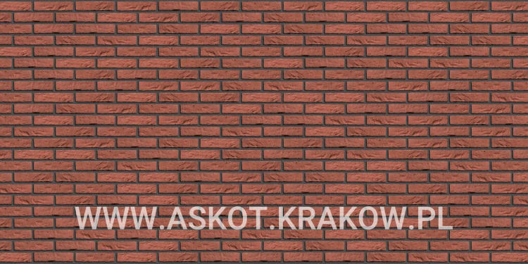 plytka-katowa-recznie-formowana-rood-boszand-engels-realizacja7