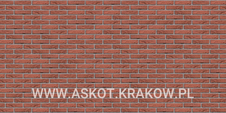 plytka-katowa-recznie-formowana-rood-boszand-engels-realizacja6