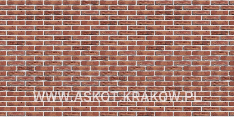 plytka-katowa-recznie-formowana-rood-boszand-gereduceerd-engels-realizacja8