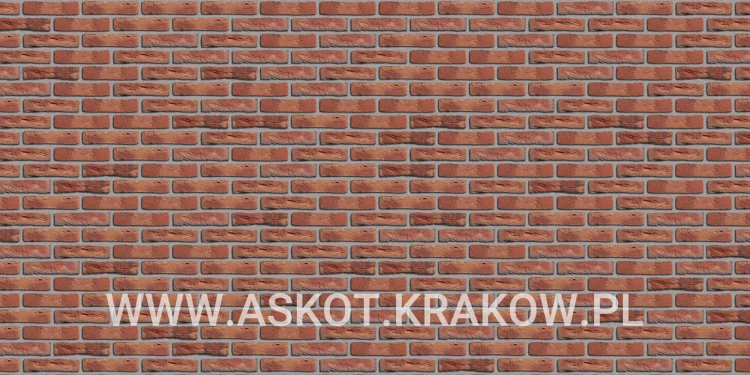 plytka-katowa-recznie-formowana-rood-boszand-gereduceerd-engels-realizacja9