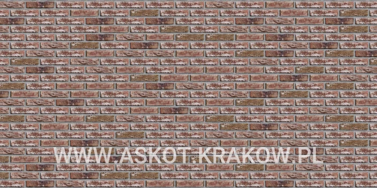 plytka-katowa-recznie-formowana-taiga-engels-realizacja2