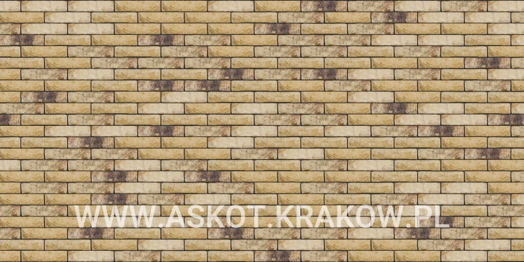 plytka-katowa-recznie-formowana-tanganyika-engels-realizacja
