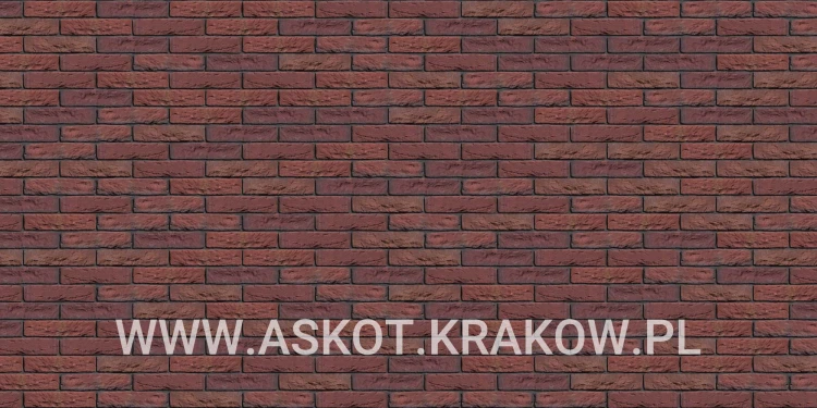 plytka-katowa-recznie-formowana-wapper-engels-realizacja