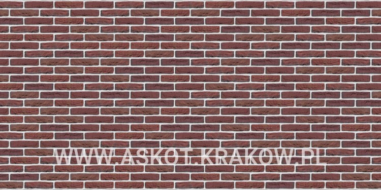 plytka-katowa-recznie-formowana-wapper-engels-realizacja1