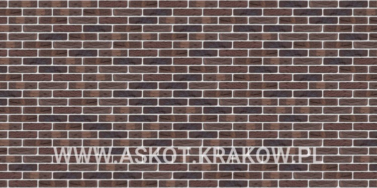 plytka-katowa-recznie-formowana-wijnbergen-engels-realizacja1