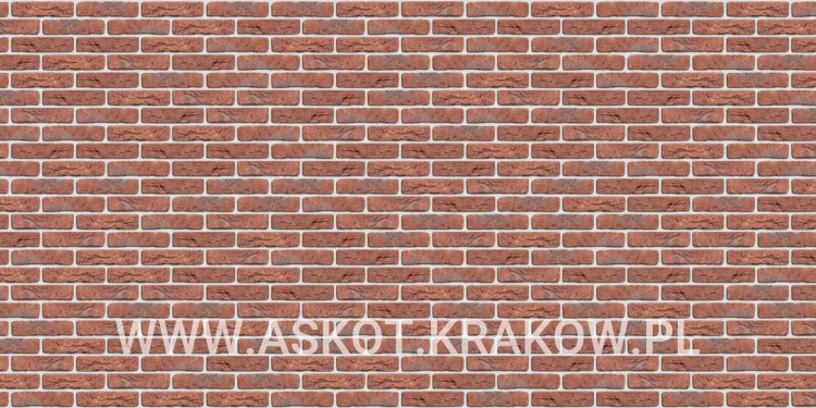 plytka-katowa-recznie-formowana-koper-rood-engels-realizacja4